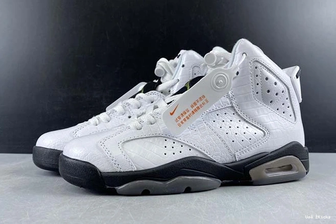 “Alligator” 6 Jordan GS Modern 634 384665- 7057 Air 0831